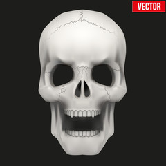 Vector Human skull with open mouth.