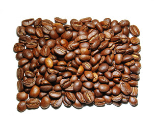 coffee beans