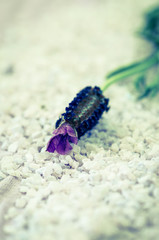 sea salt and lavender flower