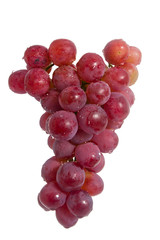 Fototapeta premium Grape isolated on white background.