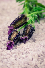 sea salt and lavender flower