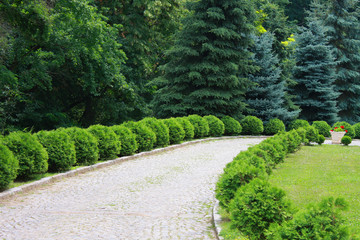 Fototapeta na wymiar interesting garden with cobblestone on the ground