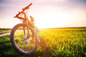 Naklejka premium Mountain biking