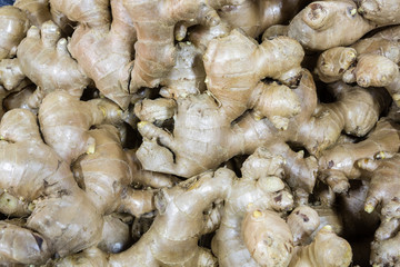 Ginger