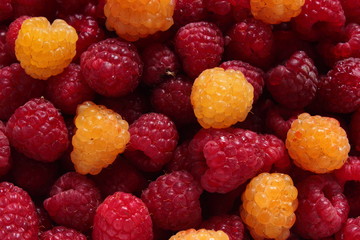 year yield of raspberries