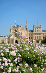 Castle Lednice