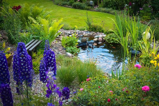 Blick in den Garten mit Teich
