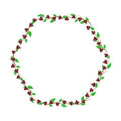 Spring related digital frame