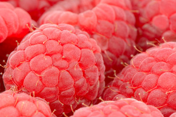 Himbeeren Nahaufnahme