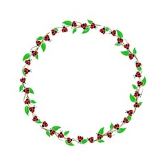 Spring related digital frame