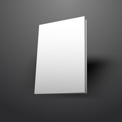 vector illustration of Illustration of Blank brochure. 3d illust