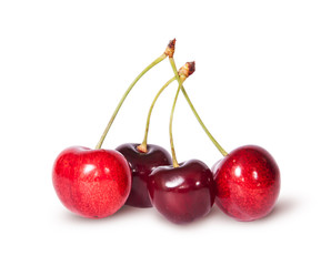 Four red juicy sweet cherries