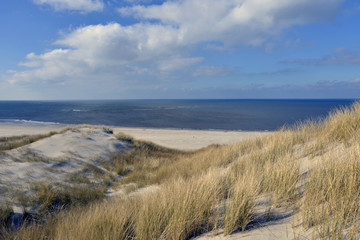 Fototapeta na wymiar beach Terschelling, The Netherlands
