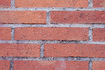 Obraz premium texture