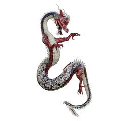 Obraz premium ドラゴン 