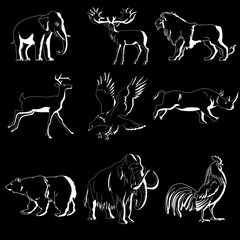 Zoo animals vector collection 