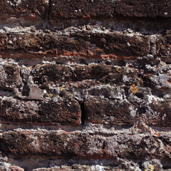 texture