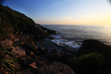 night landscape palm bay island