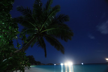 night landscape palm bay island