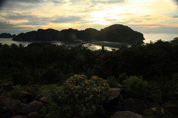 night landscape palm bay island
