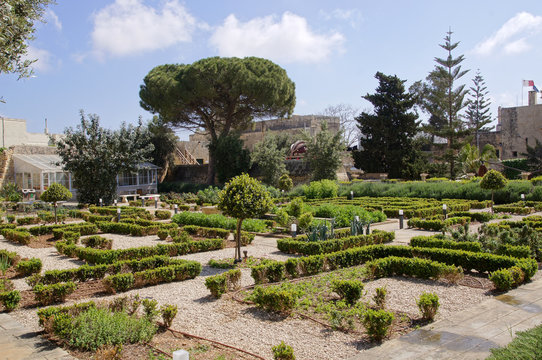 Jardin du Palais Saint-Antoine