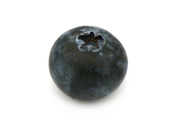 Blaubeere freigestellt