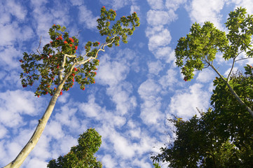 Vinales Mountains