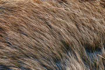 Impression aus dem Torfmoor bei Frotheim