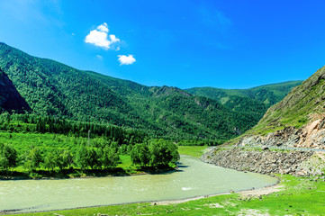 Fototapeta na wymiar Mountain valley with river in Altai in summer