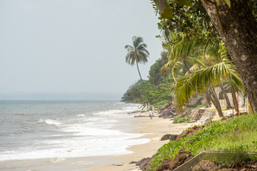 beach with palm trees