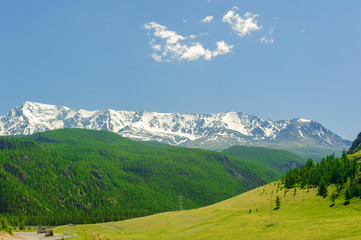 High mountains covered with snow and green forest in Altai in summer