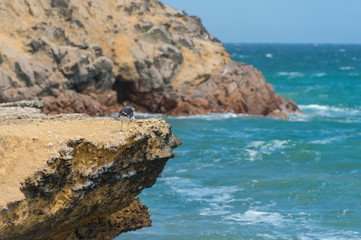 the Paracus National Reserve, Peru - Coastline with Desert Mount