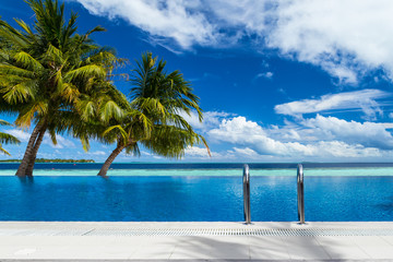 infinity pool with coco palms in front of the ocean