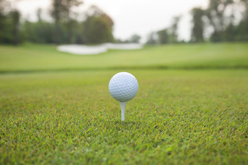 Golf ball on tee with defocused background