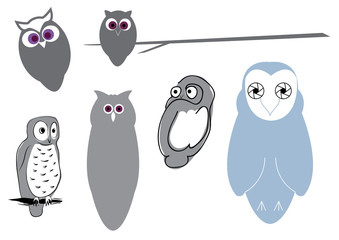 Owls