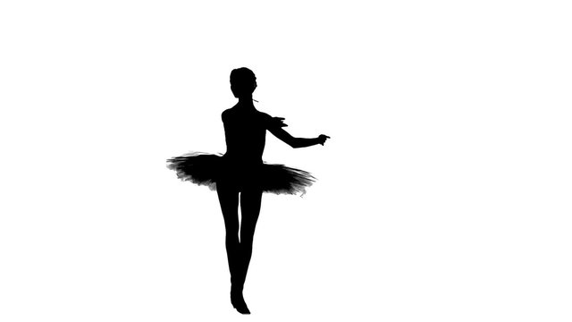 young beautiful dancer posing on a studio, silhouette, slow