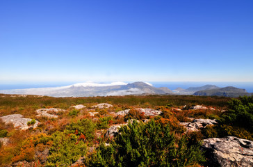 Table Mountain in Cape Town