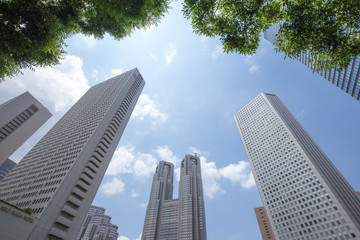 東京新宿の高層ビル