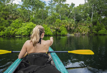 Woman kayaker pointing at an alligator in the water while on a kayaking trip down a beautiful tropical river