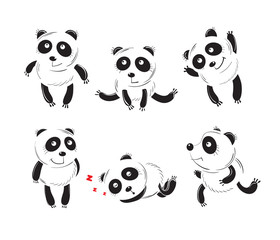 Set with six cartoon lovely pandas in different poses, planimetric graphics, the sketch.