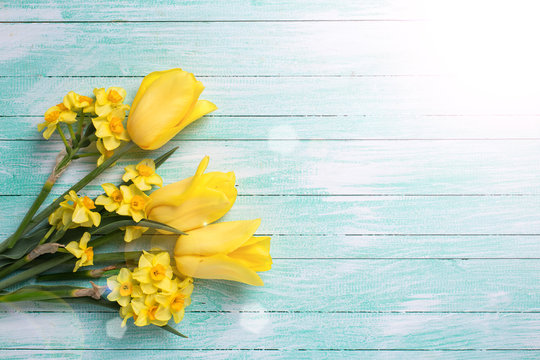 Fototapeta Yellow daffodils and tulips flowers