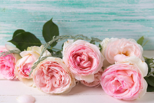 Sweet pink roses