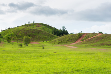 landing aircraft over approach light
