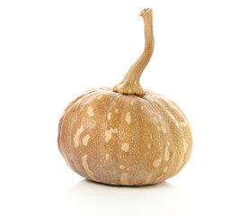 Raw thai pumpkin on white background