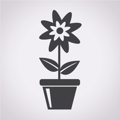 flower icon