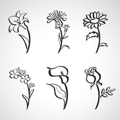 Ink style  sketch set - summer flowers - obrazy, fototapety, plakaty