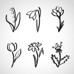 Ink style  sketch set - spring flowers - obrazy, fototapety, plakaty