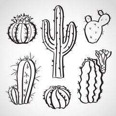 Ink style  sketch set - cactus set