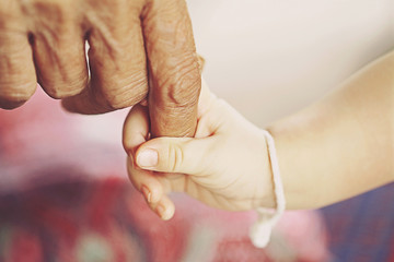 Close up baby hands holding grandmother