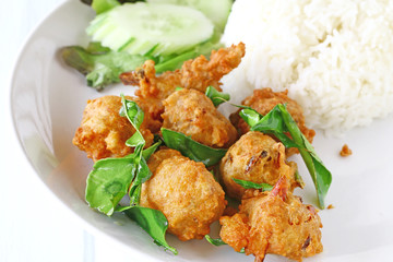Fried Chicken with Rice.